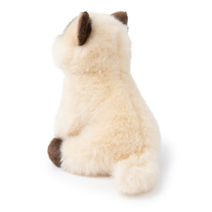 BT Chaps Eddie the Siamese in giftbox