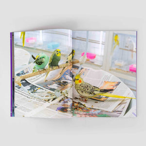 Farah Al Qasimi: Star Machine