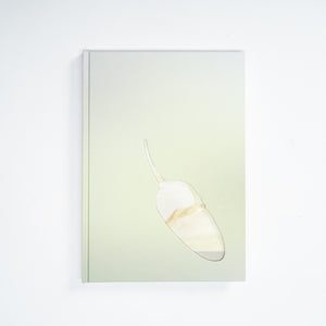 Yhonnie Scarce: The Light of Day