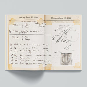 Howard Taylor: A Painters Journal