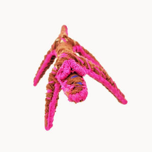 Tjanpi Tinka (Lizard) Sculpture by Pollyanne Smith