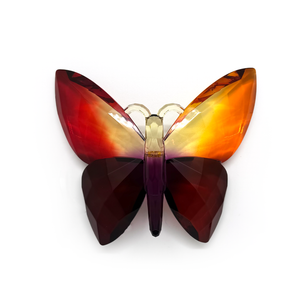 Claren Acrylic Butterfly - 2 Tone