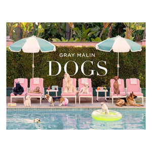 Gray Malin: Dogs