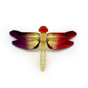 Claren Acrylic Dragonfly - Rainbow