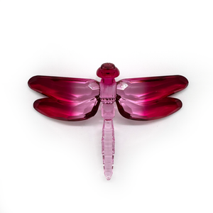 Claren Acrylic Dragonfly - 2 Tone