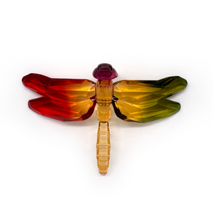Claren Acrylic Dragonfly - Rainbow