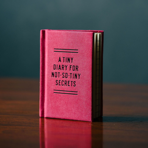 Tiny Diary for Not So Tiny Secrets