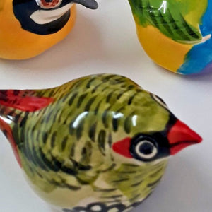 Patricia Hines Red Eared Firetail Finch