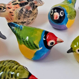 Patricia Hines Gouldian Finch