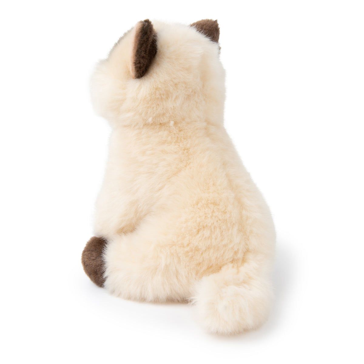 BT Chaps Eddie the Siamese in giftbox