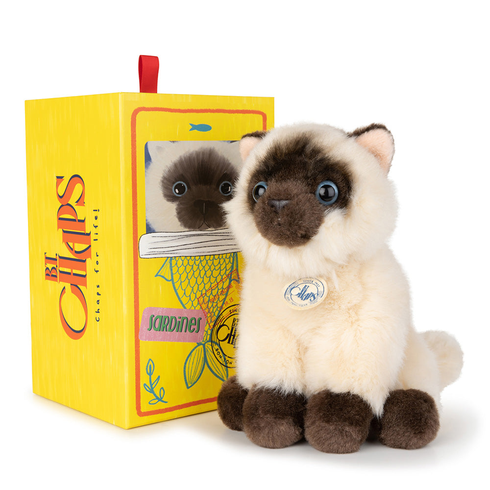 BT Chaps Eddie the Siamese in giftbox