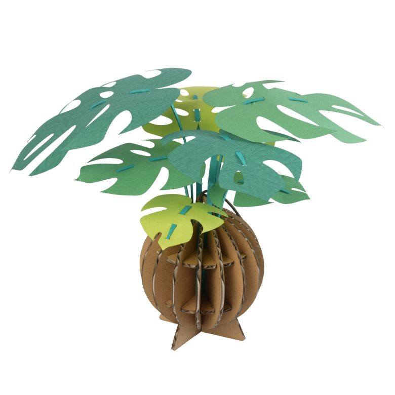 Kami No Midori - Monstera