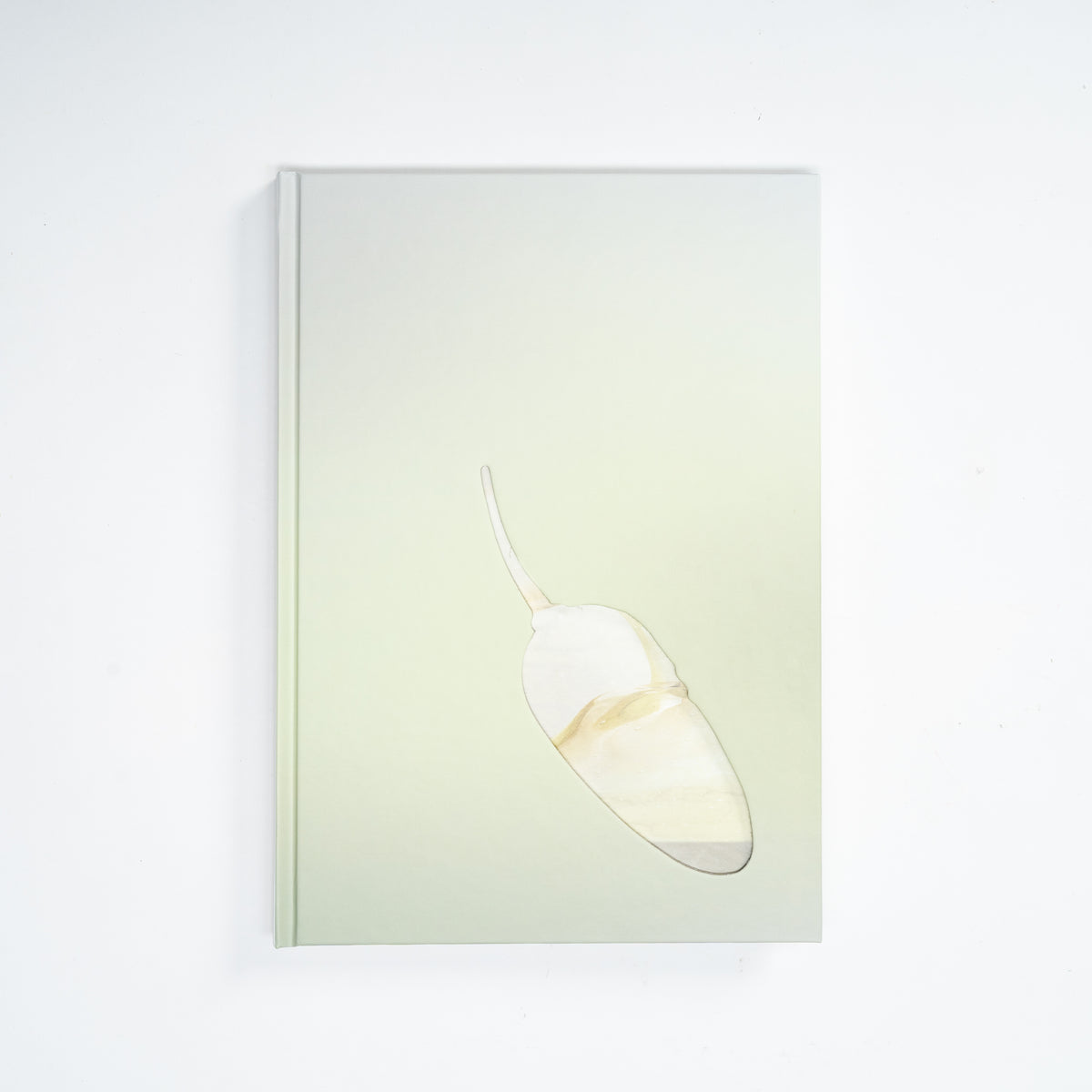 Yhonnie Scarce: The Light of Day