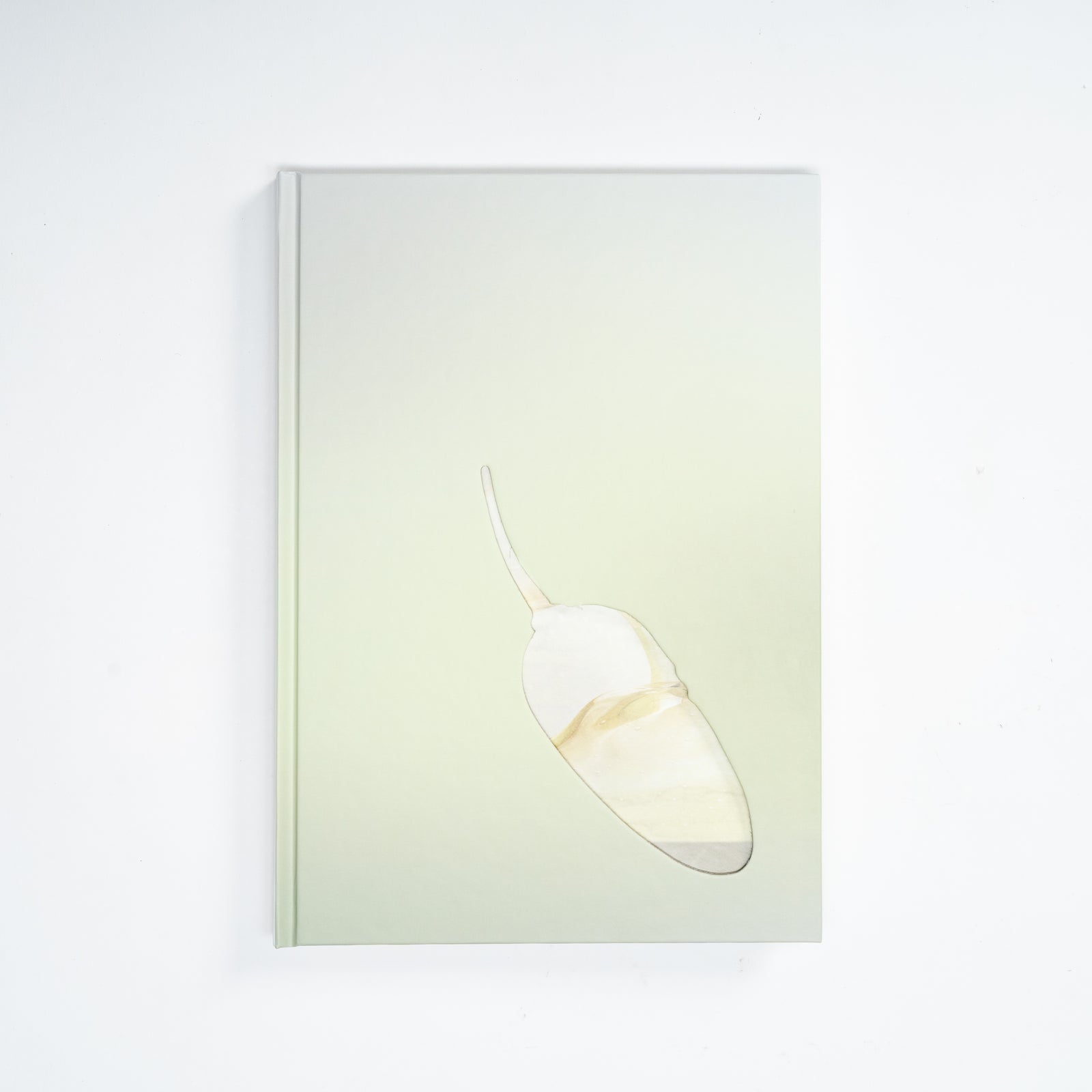 Yhonnie Scarce: The Light of Day