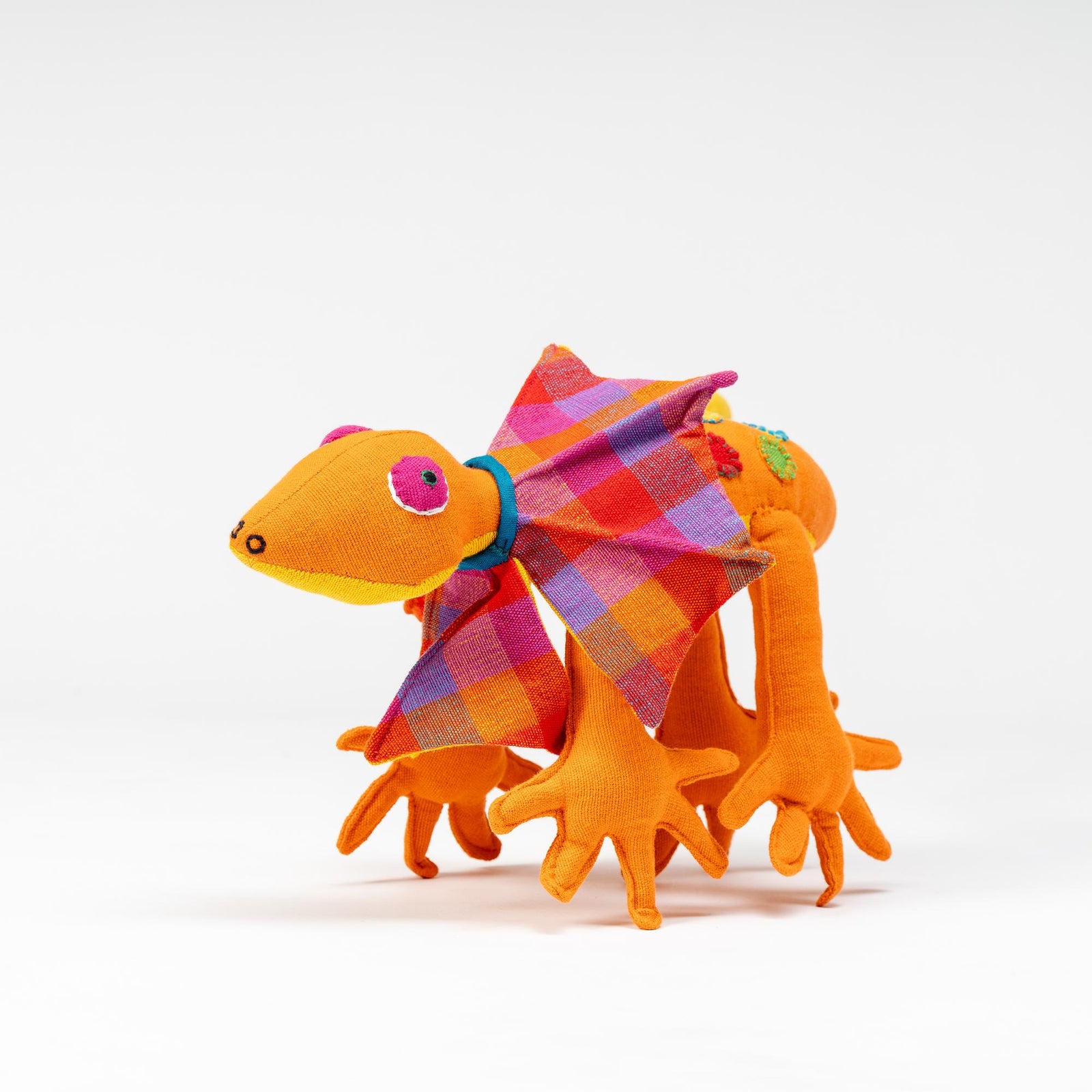 Barefoot Frilled Neck Lizard - Large