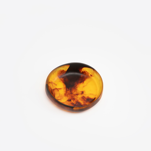 Dinosaur Designs Small Earth Bowl - Tortoise