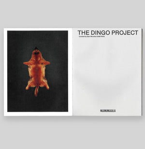 Djon Mundine: The Dingo Project