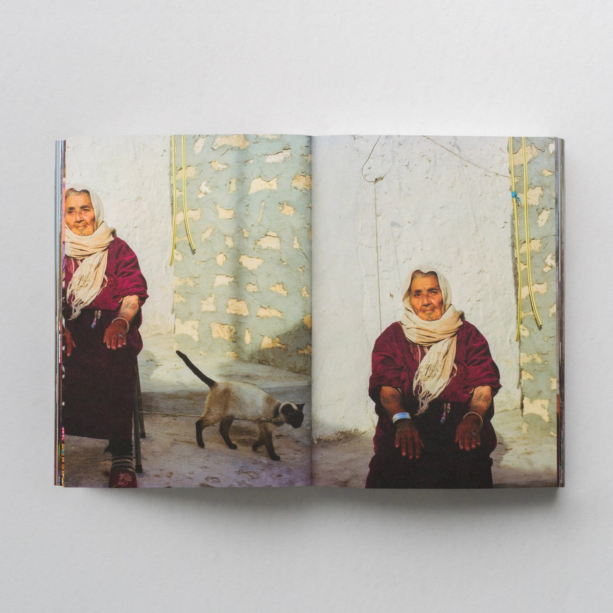 Aisha - Yumna Al-Arashi