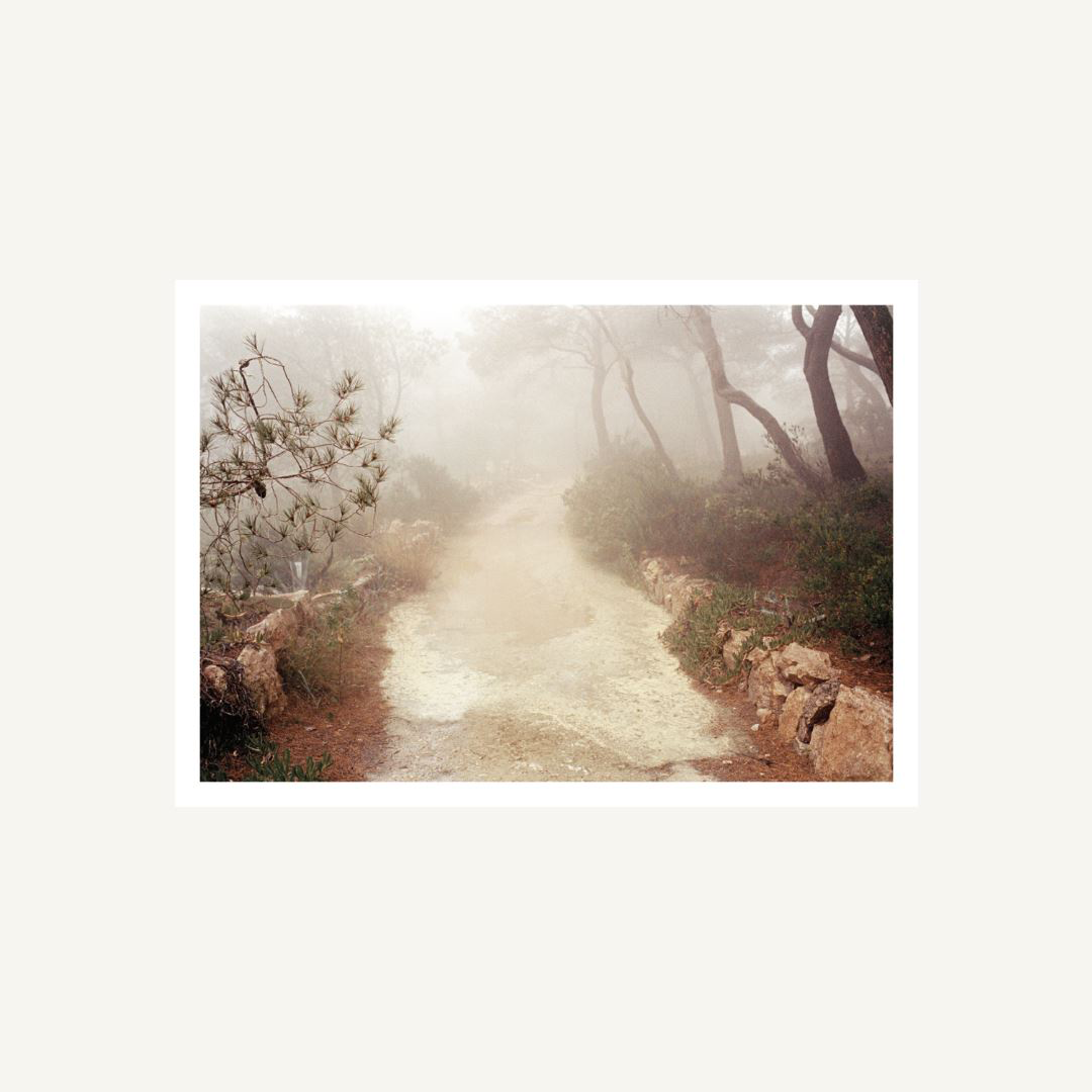 Henry Roy Postcard - Stormy Weather