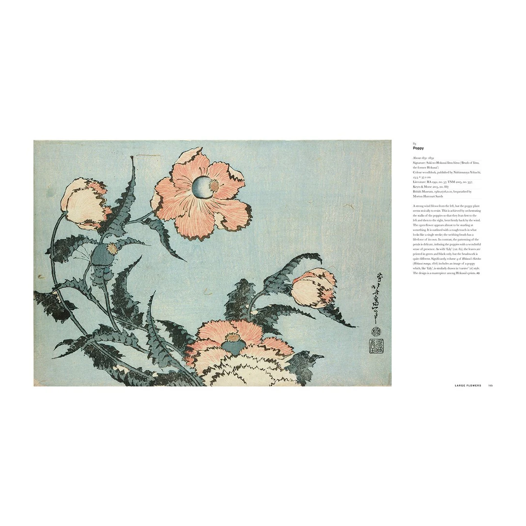 Hokusai: Beyond the Great Wave