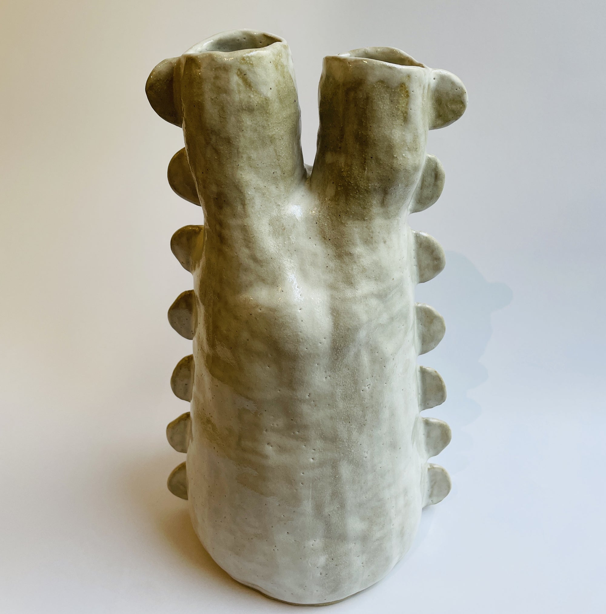 Chrissie Hogan Art Double Cactus Vessel