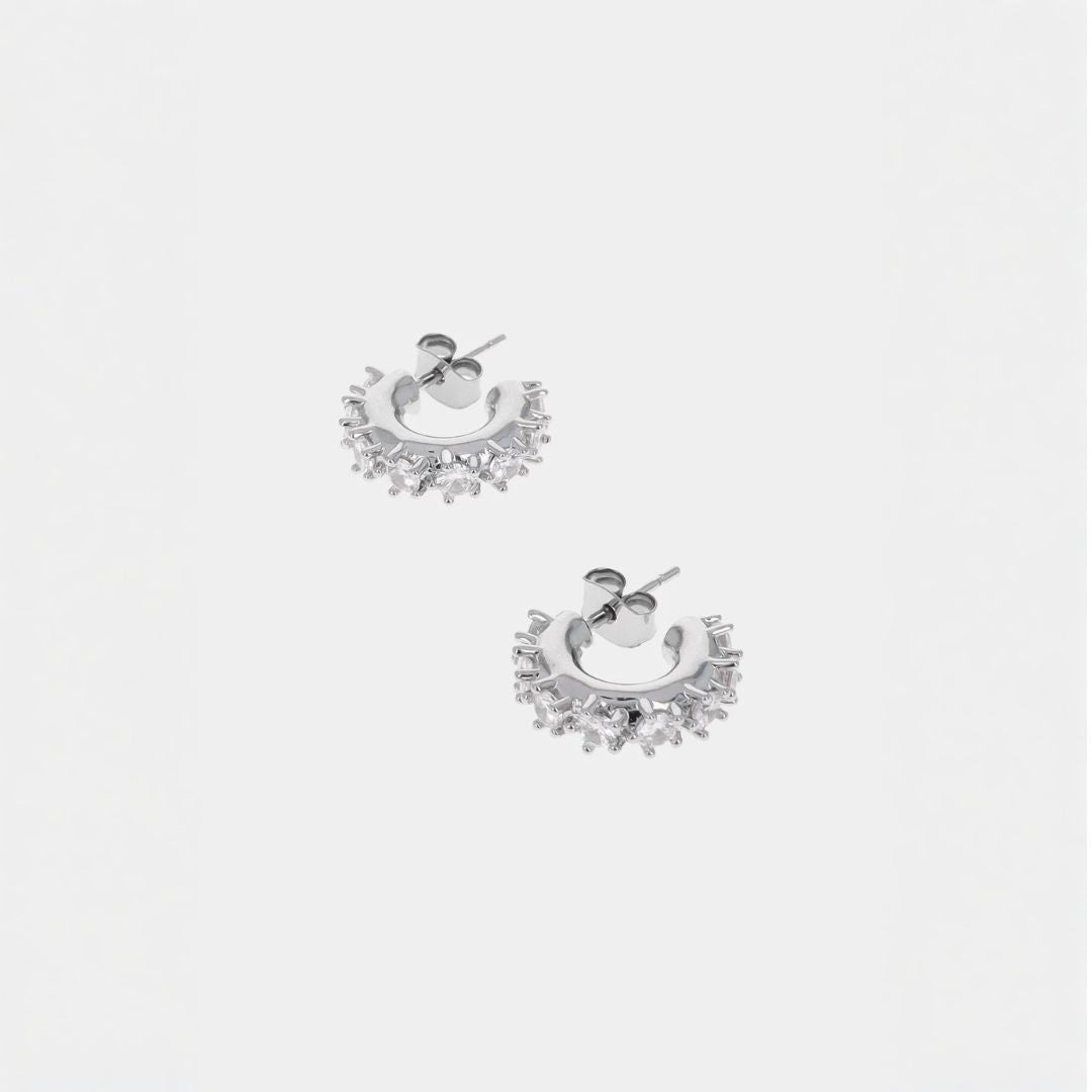 Justine Clenquet Nina Small Earrings - Palladium