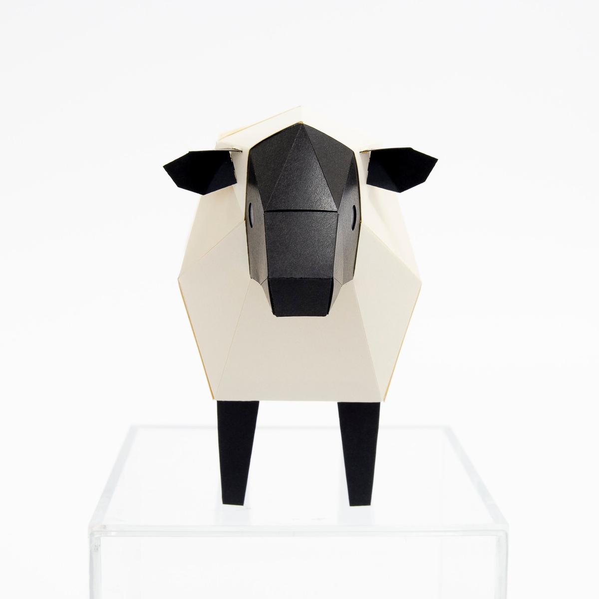 TINY Animals - Sheep