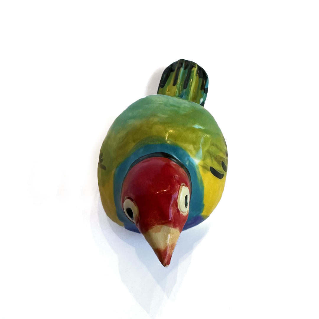 Patricia Hines Gouldian Finch