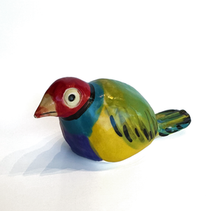 Patricia Hines Gouldian Finch