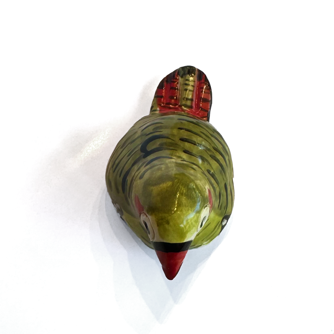 Patricia Hines Red Eared Firetail Finch