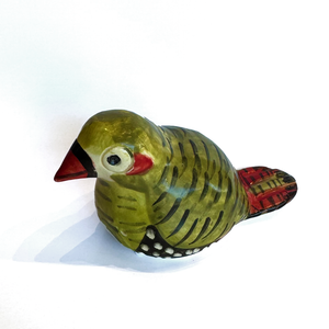 Patricia Hines Red Eared Firetail Finch