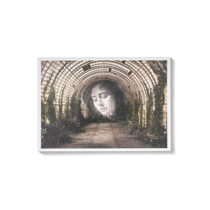 TIME • RONE Postcard Set