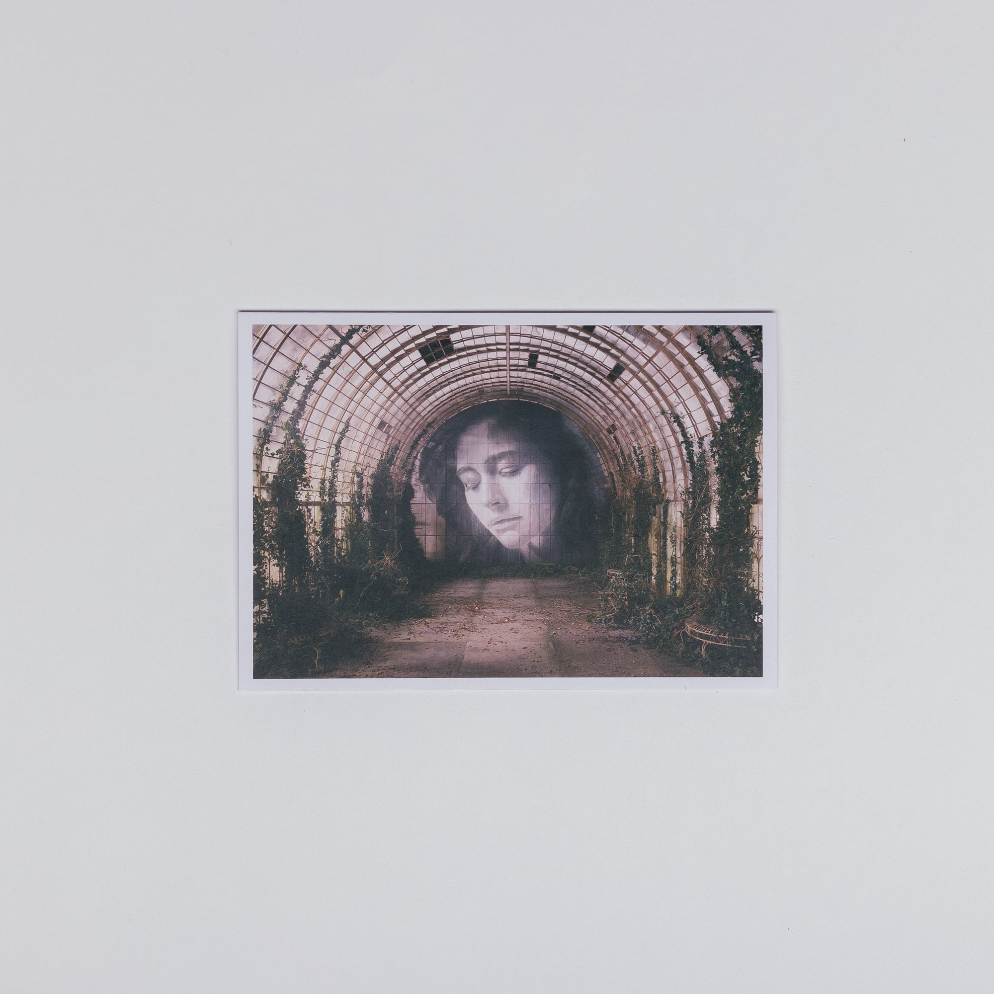 TIME • RONE Glasshouse Greeting Card