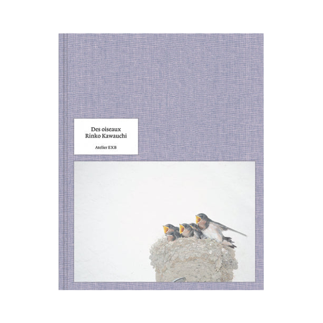 Rinko Kawauchi: On Birds (Des Oiseaux)