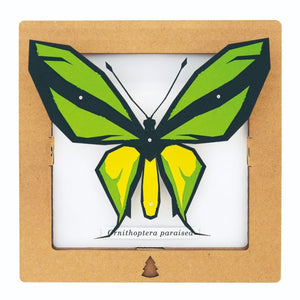 SQAR Ornithoptera Paradisea - Green Butterfly