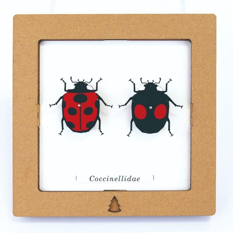 SQAR Coccinellidae - Lady Bug Pair