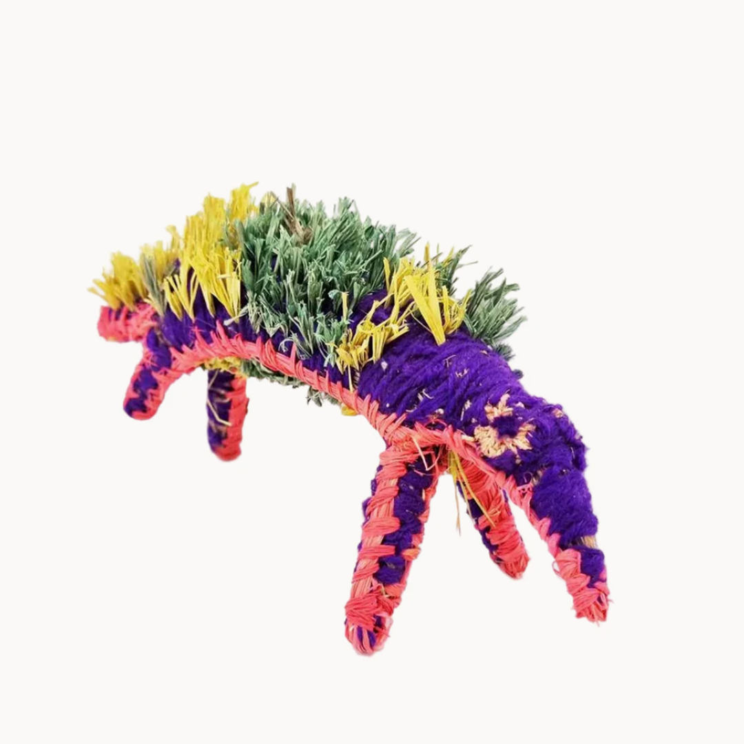 Tjanpi Tjilkamarta (Echidna) Sculpture by Erica Ikungka Shorty