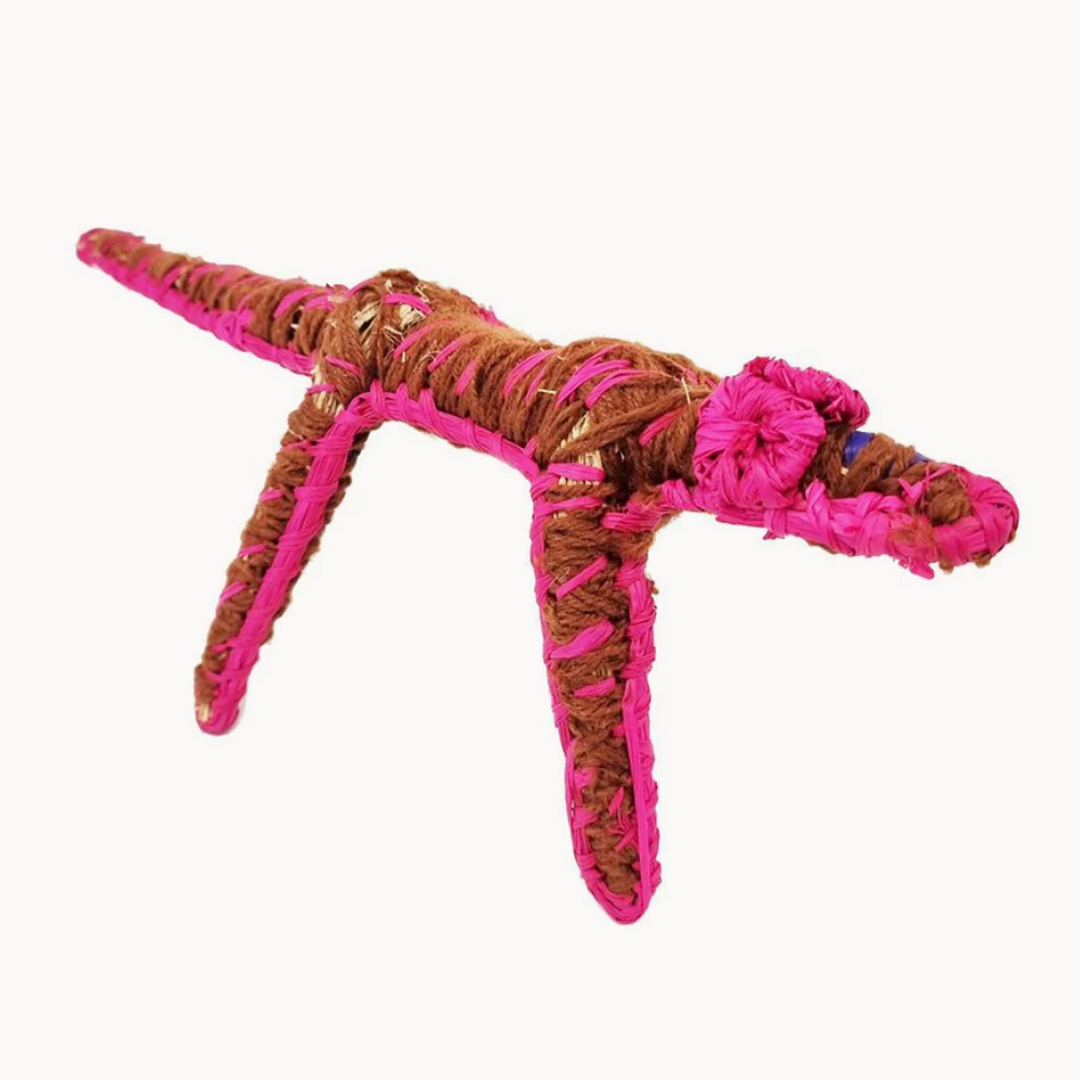 Tjanpi Tinka (Lizard) Sculpture by Pollyanne Smith