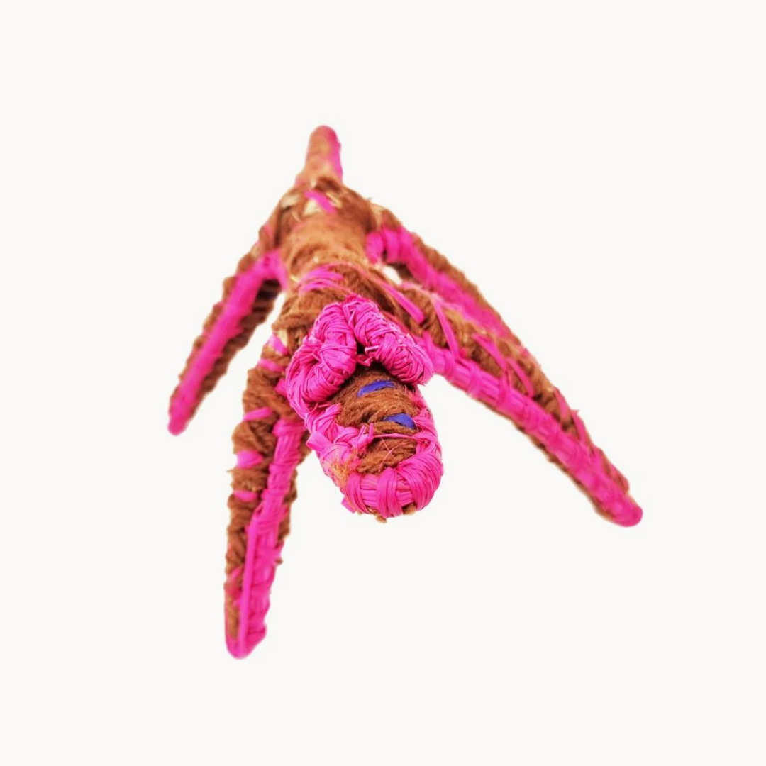 Tjanpi Tinka (Lizard) Sculpture by Pollyanne Smith