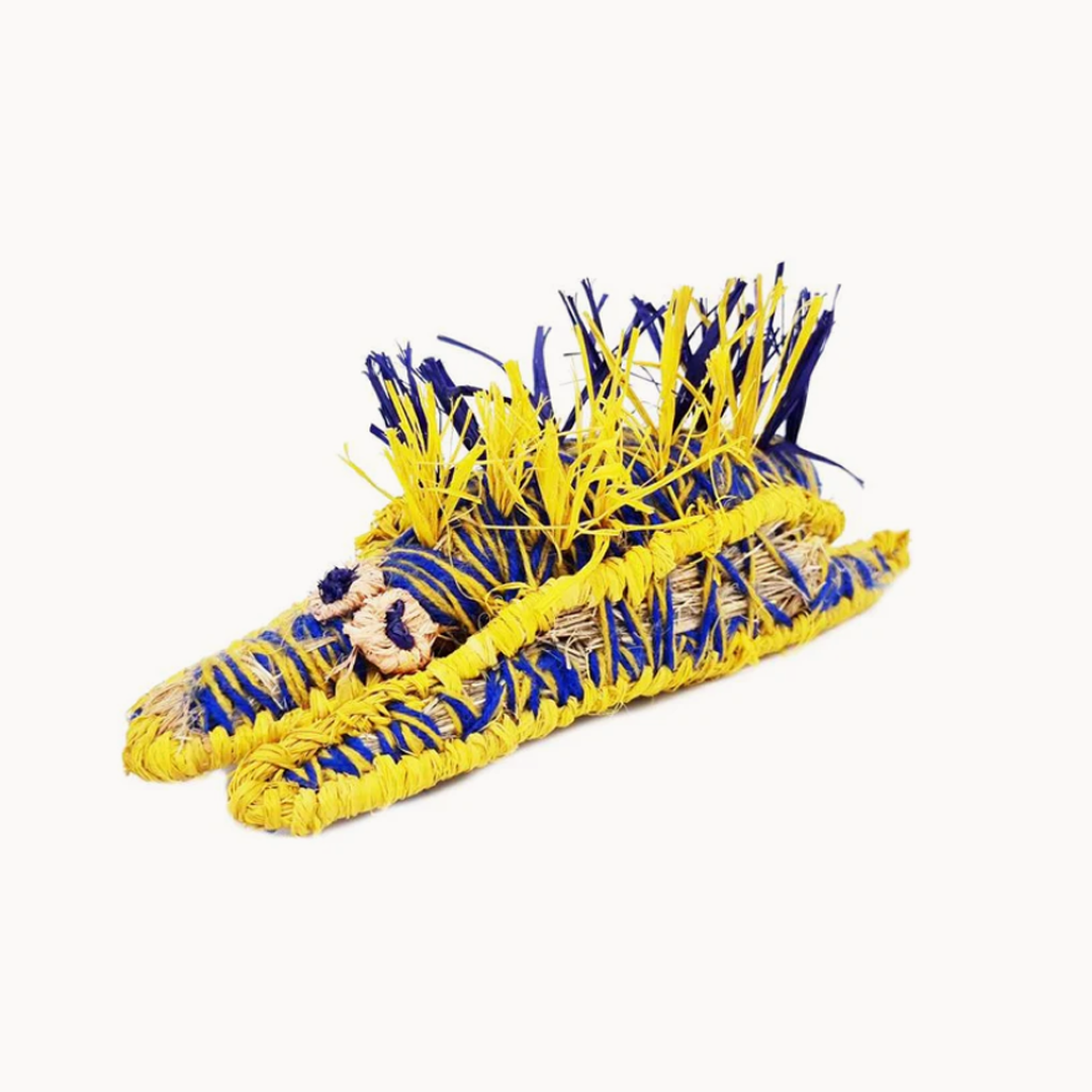 Tjanpi Tjilkamarta (Echidna) Sculpture by Hazel Giles