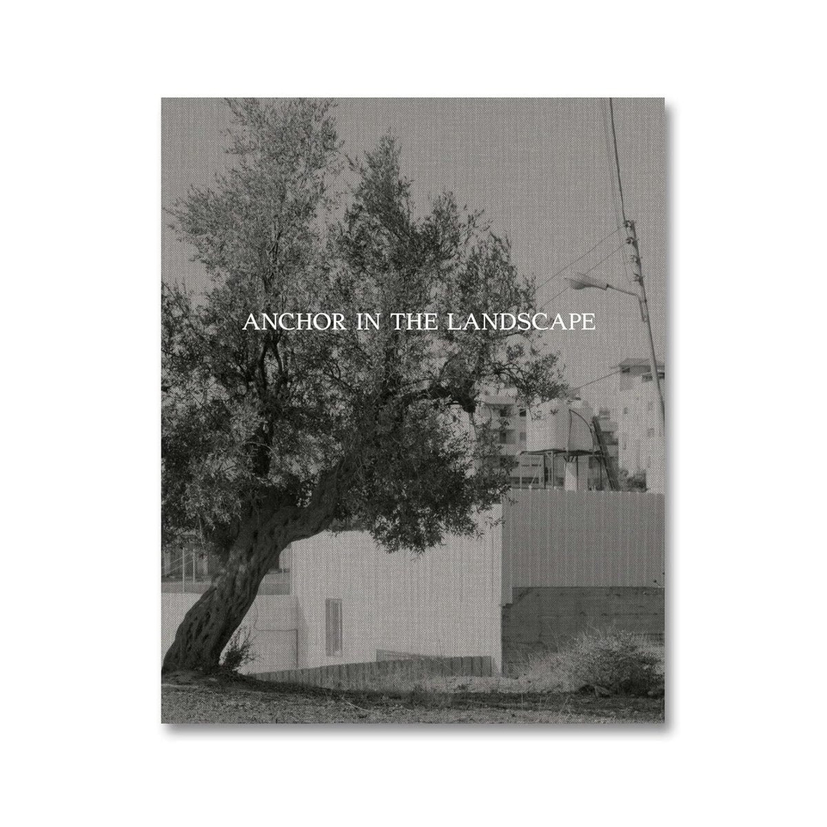 Anchor in the Landscape - Adam Broomberg & Rafael Gonzalez