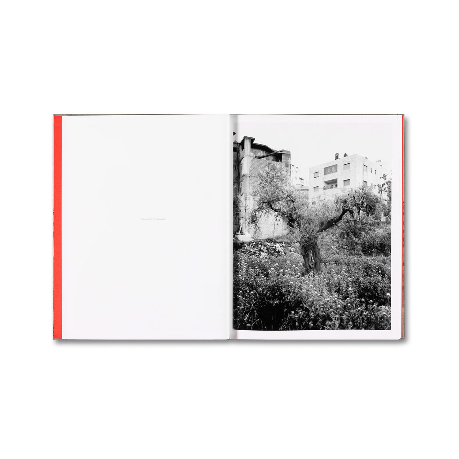 Anchor in the Landscape - Adam Broomberg & Rafael Gonzalez
