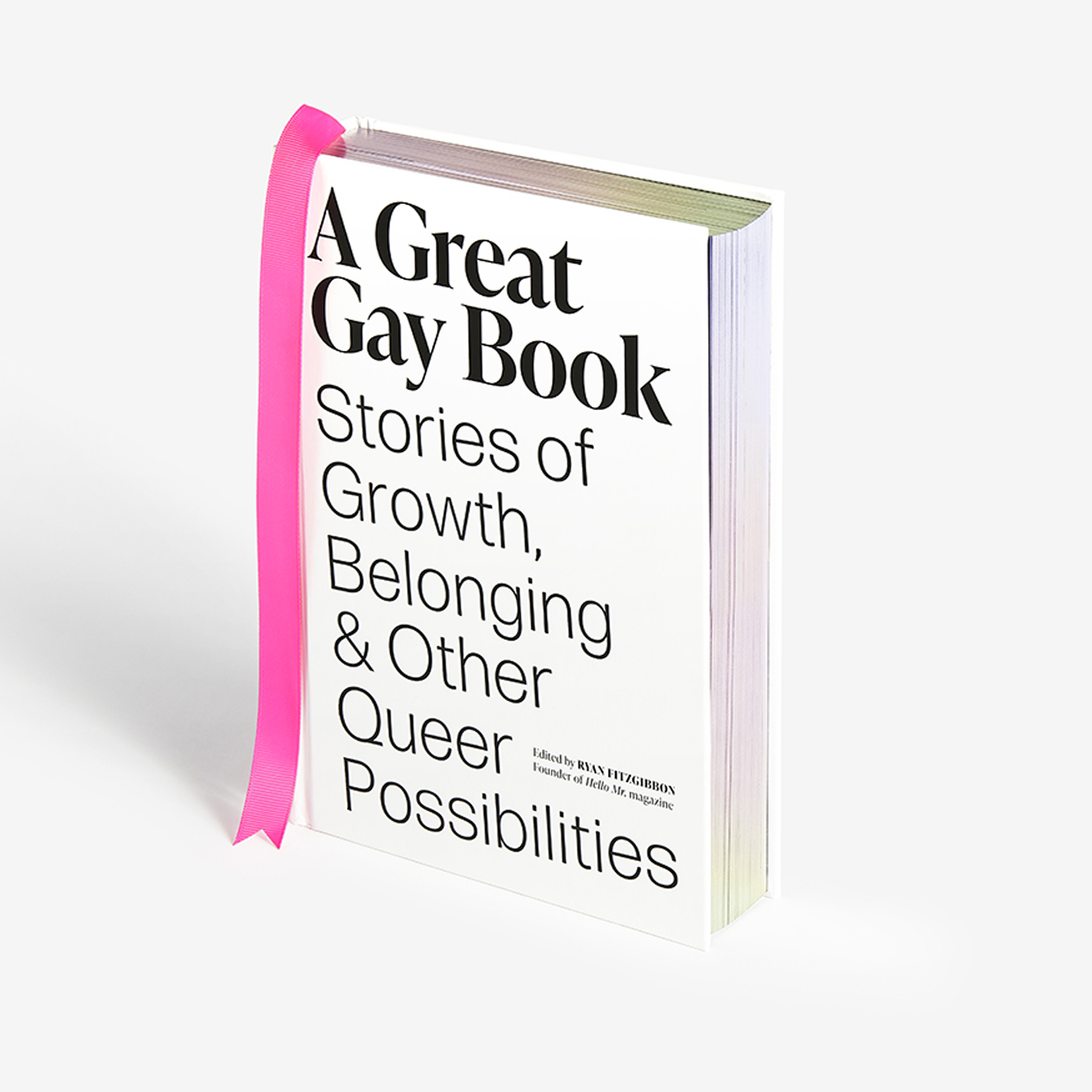 A Great Gay Book