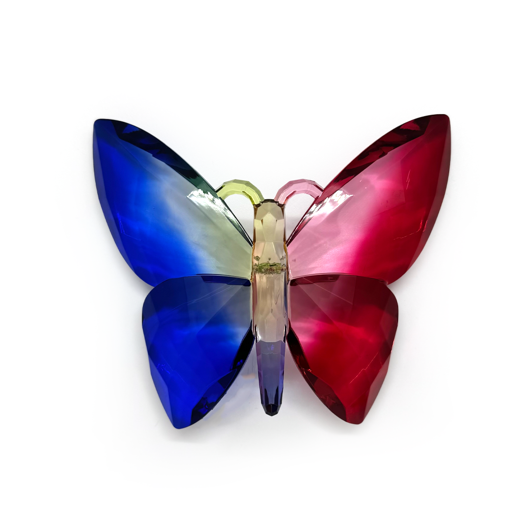 Claren Acrylic Butterfly - 2 Tone