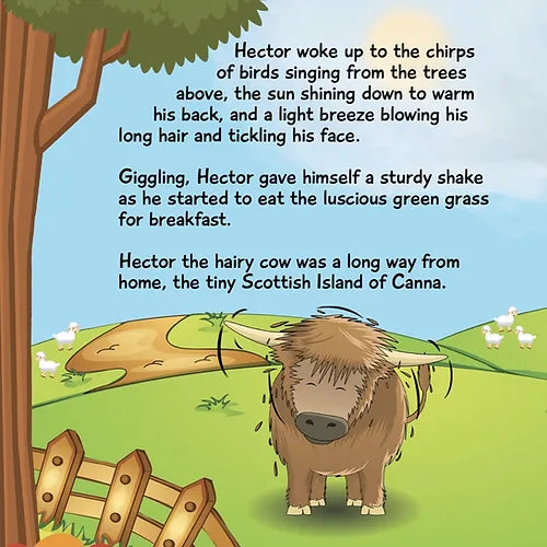 A Hairy Cow Adventure
