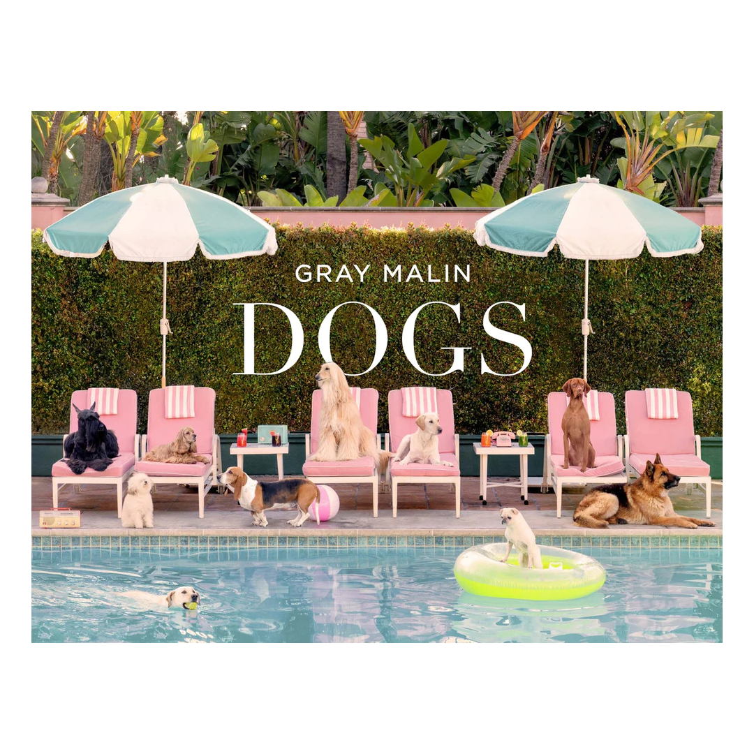 Gray Malin: Dogs