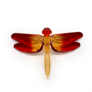 Claren Acrylic Dragonfly - 2 Tone