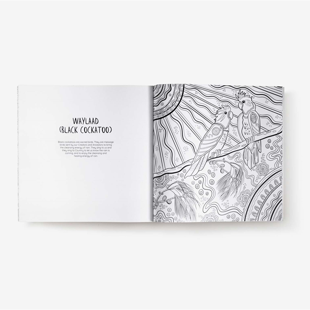 Jagun: A First Nations Colouring Book