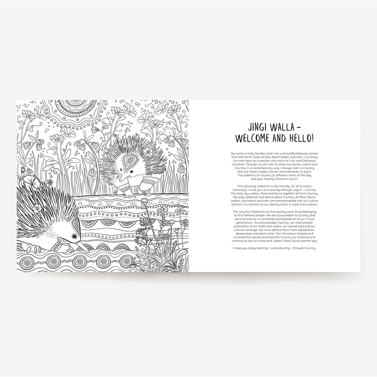 Jagun: A First Nations Colouring Book