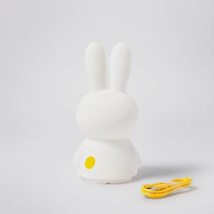 Miffy Shines